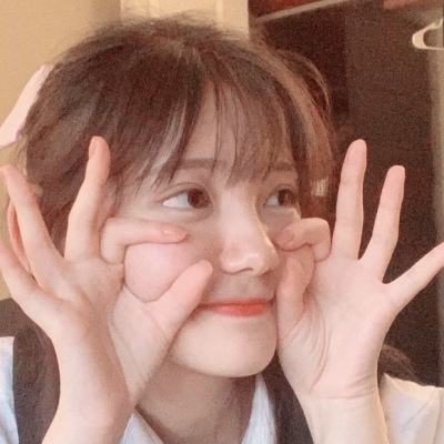 灰烬战姬破解版下载